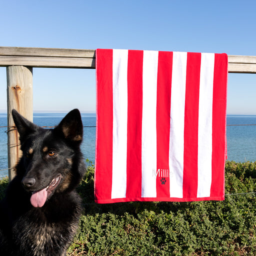 Personalised Embroidered Striped Pet Beach Towel