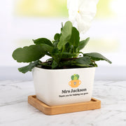 Teacher gift planter pot in kraft box with UV printed design