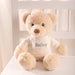 Personalised teddy bear with embroidered name on jumper