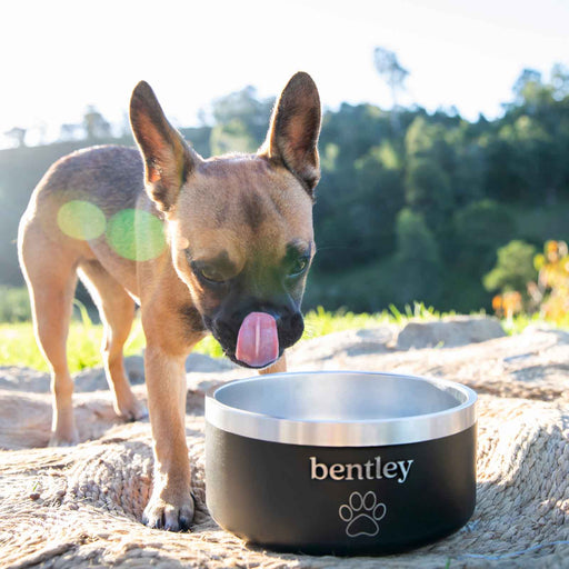 Personalised Engraved Black Stainless Steel Round Dog Bowl