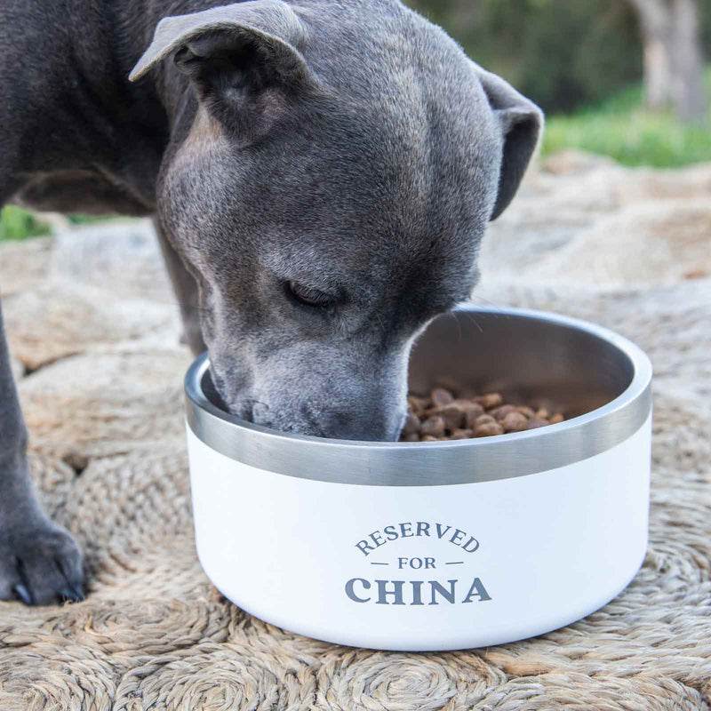 Customised Engraved White Stainless Steel Round Pet Cat Dog Bowl Present